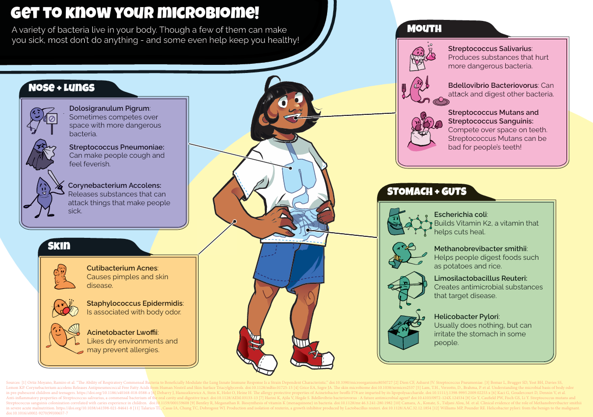 An image depicting intestinal microbiota. Vector art, 2021.